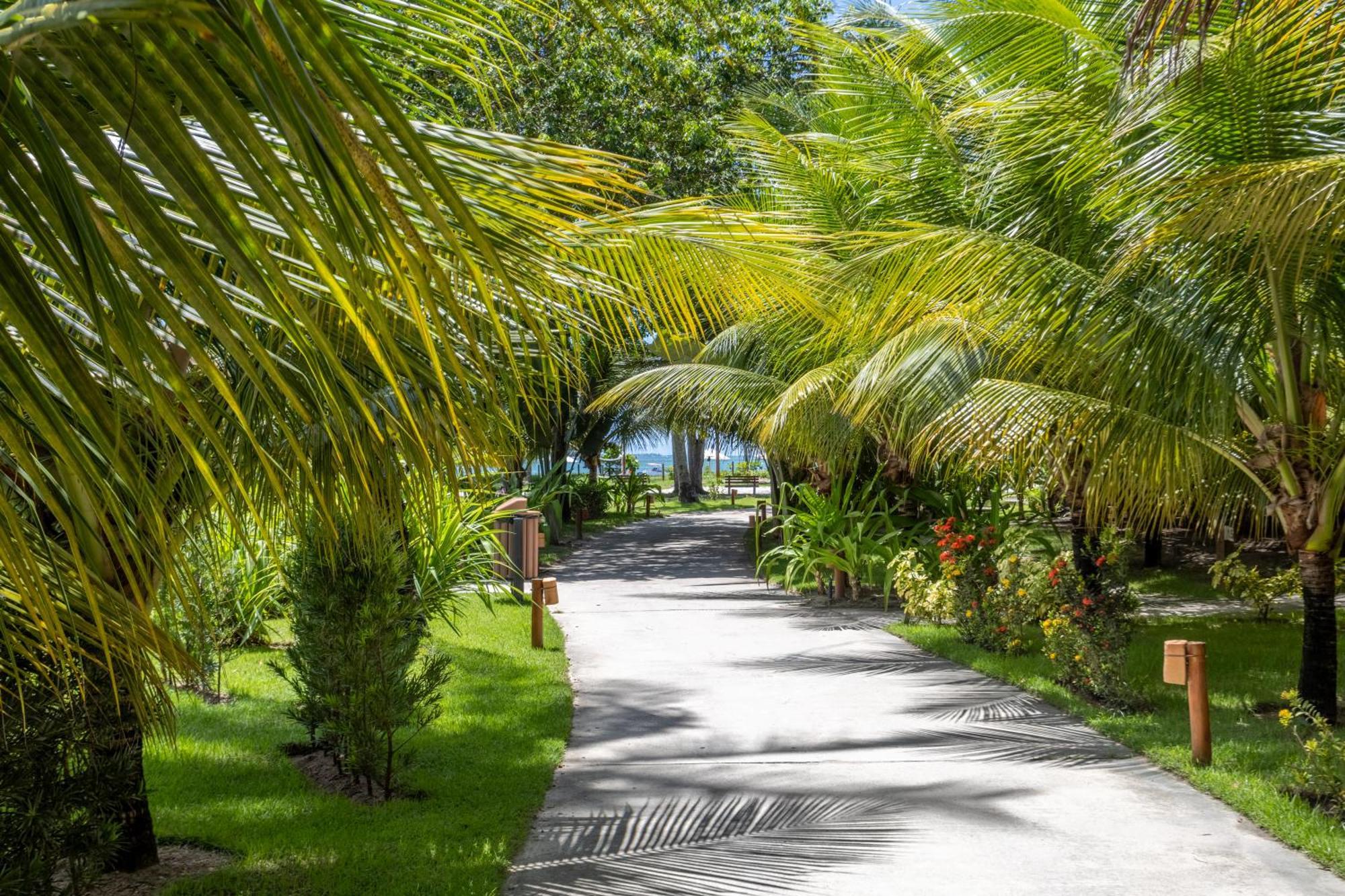 Vista Linda Eco Resort Carneiros Tamandaré Eksteriør billede
